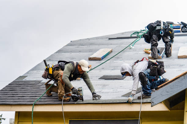 Professional Roofing technician working in Chadwick, IL